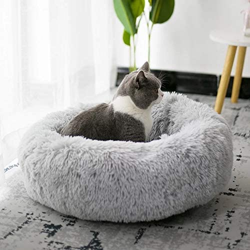 TopConfort™ - Lit Apaisant Chat - Mon ami le chat